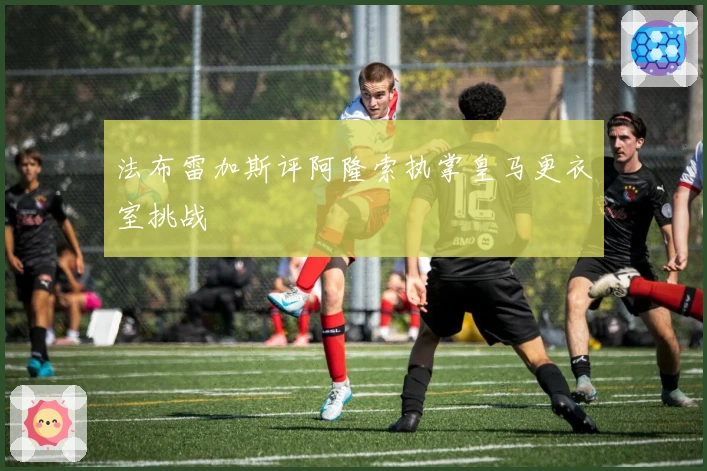 法布雷加斯评阿隆索执掌皇马更衣室挑战