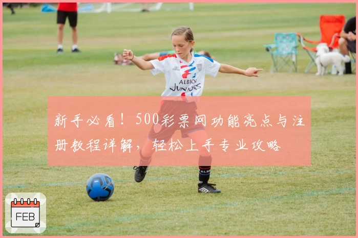 新手必看！500彩票网功能亮点与注册教程详解，轻松上手专业攻略