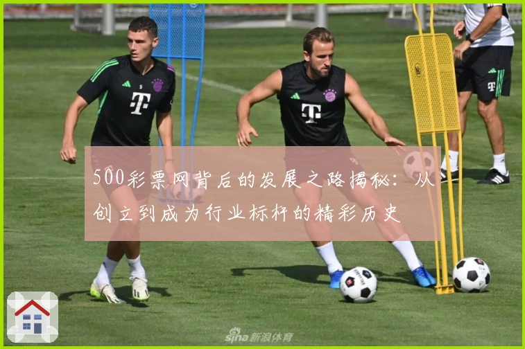 500彩票网背后的发展之路揭秘：从创立到成为行业标杆的精彩历史