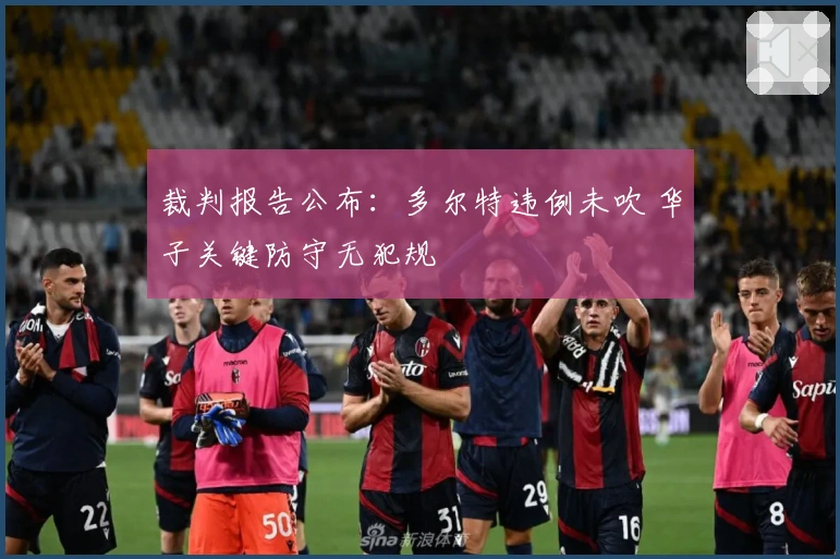 裁判报告公布：多尔特违例未吹 华子关键防守无犯规